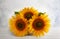 Autumn still life with sunflowers in basket. Autumn arrangement with flowers on a white wooden table