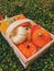 Autumn still life on the theme of the harvest of small different pumpkins.