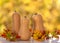 Autumn still life of three pumpkins on a reflective surface  on the background yellowed trees on a clear day