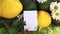 Autumn still life of vegetables and flowers with an empty field for text. Pumpkins  chamomile and zucchini in a heap. Assorted