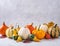 Autumn stillife. The composition of sevral colorful decorative pumpkins on white table