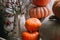 Autumn stillife with pumpkins
