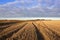 Autumn straw stubble