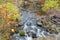 Autumn Stream at Bear Creek Okanagan Valley BC