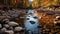 Autumn Stream: A Captivating Blend Of Colors And Serenity