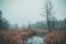 An autumn stream flows in a misty valley