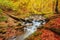 autumn stream in the forest, gold autumn European landscape