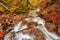 autumn stream in the forest, gold autumn European landscape