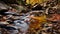 Autumn Stream: A Photo-realistic Landscape Of A Forest With Running Water