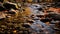 Autumn Stream Photography: Zeiss Batis 18mm F2.8, Karst Stream With Rocks And Fallen Leaves