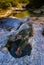 Autumn, Stream, Pisgah National Forest