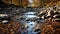 Autumn Stream with Rocks: UHD Image of a Hill Stream with Small River Stones