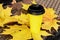 Autumn street still life: yellow cardboard coffee cup with black plastic lid on large yellow maple leaves