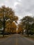 Autumn Streets under Cloudy Skies