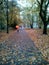 Autumn streetscape