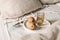 Autumn, summer breakfast in bed composition. Glass of water, folded newspapers and pear fruit on white marble tray