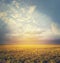 Autumn or summer field landscape with amazing sky,blurred nature background
