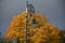 Autumn on sunny day ,park , lamppost , roof top , heavy clouds.