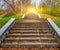 Autumn sunny day, steps of stairs in the old park, many fallen foliage. Seasons