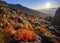 Autumn sunrise in the mountains. Colorful shot with beautiful foreground of nortern nature