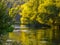 Autumn sunrise on the River Itchen - a famous chalk bed stream renowned for fly fishing - between Ovington and Itchen Abbas in