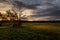 autumn sunset in the park Paul Douglas Forest Preserve