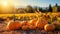 Autumn sunset, pumpkin harvest, nature celebration in October generated by AI