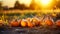 Autumn sunset, pumpkin lanterns glow, Halloween celebration in nature generated by AI