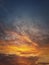 Autumn sunset sky. Vertical background, different colored  and shaped clouds and flocks of migratory birds flying. October