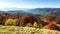 Autumn sunset valley. Close-up of the sunset of a dense golden aspen grove in a valley at the foot of the high peaks of