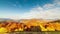 Autumn sunset valley. Close-up of the sunset of a dense golden aspen grove in a valley at the foot of the high peaks of