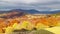 Autumn sunset valley. Close-up of the sunset of a dense golden aspen grove in a valley at the foot of the high peaks of