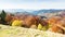 Autumn sunset valley. Close-up of the sunset of a dense golden aspen grove in a valley at the foot of the high peaks of