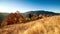 Autumn sunset valley. Close-up of the sunset of a dense golden aspen grove in a valley at the foot of the high peaks of