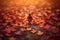 Autumn Symphony: A Tapestry of Nature\\\'s Colors