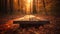 Autumn Table - Orange Leaves And Wooden Plank At Sunset In Forest