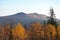 Autumn in Taiga Forest With Mountains on Horizon