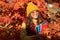 Autumn teen child girl portrait, fall leaves concept. glad child hold workbook on autumn leaves background