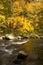 Autumn, Tellico River, Cherokee NF