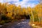 Autumn, temperance river