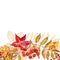 Autumn template background. Seasonal illustrations.web banner template.watercolor illustration.