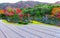 Autumn at Tenryuji temple