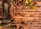 Autumn textured background and plenty of space for text and design. Pine cones, green and brown acorns, and yellow leaves lie on a