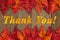Autumn Thank You message with fall leaves