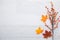 Autumn Thanksgiving Background