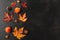 Autumn or thanksgiving composition made of autumn leaves, flowers and nuts on black background. Flat lay