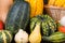 Autumn Thanksgiving motive with a basket full with corn cobs and different colorful pumpkins