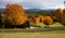 Autumn on Thetford Hill