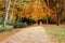 Autumn Tiergarten Park in Berlin. Germany