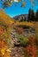 Autumn time along West Maroon creek, Colorado